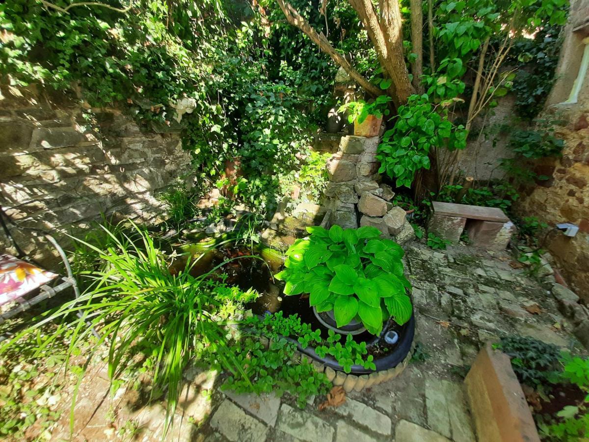 Studio Tout Confort 2 Personnes Au Coeur De L'Alsace Wolxheim Exterior photo