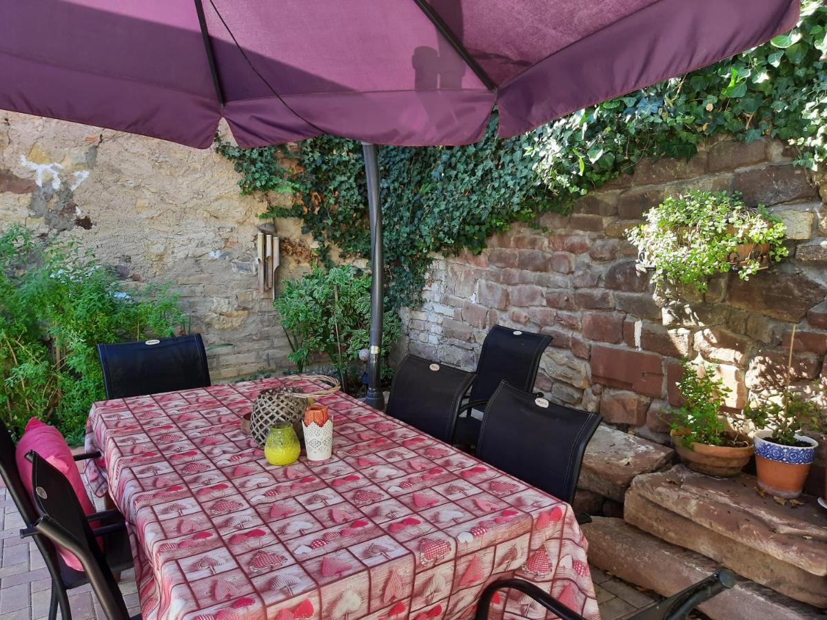 Studio Tout Confort 2 Personnes Au Coeur De L'Alsace Wolxheim Exterior photo