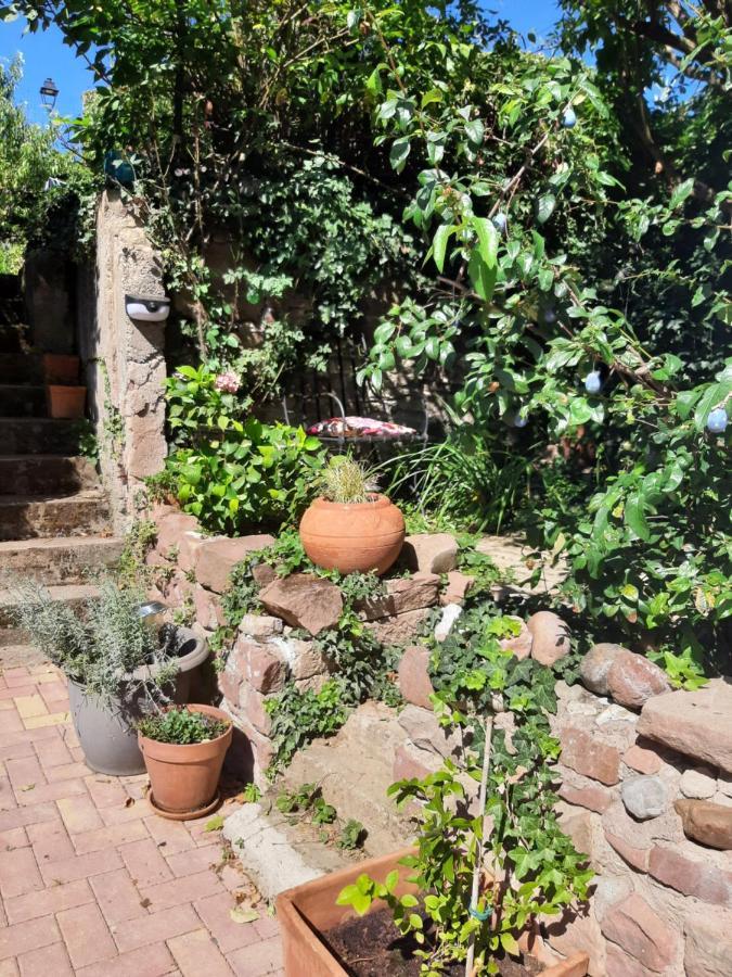 Studio Tout Confort 2 Personnes Au Coeur De L'Alsace Wolxheim Exterior photo