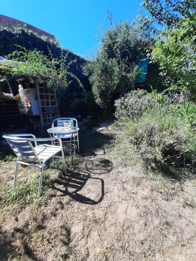 Studio Tout Confort 2 Personnes Au Coeur De L'Alsace Wolxheim Exterior photo