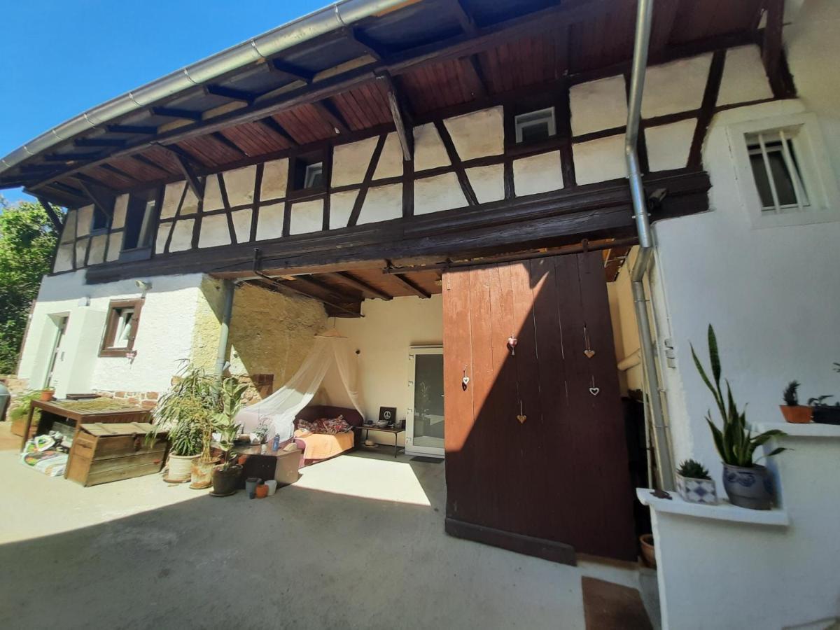 Studio Tout Confort 2 Personnes Au Coeur De L'Alsace Wolxheim Exterior photo