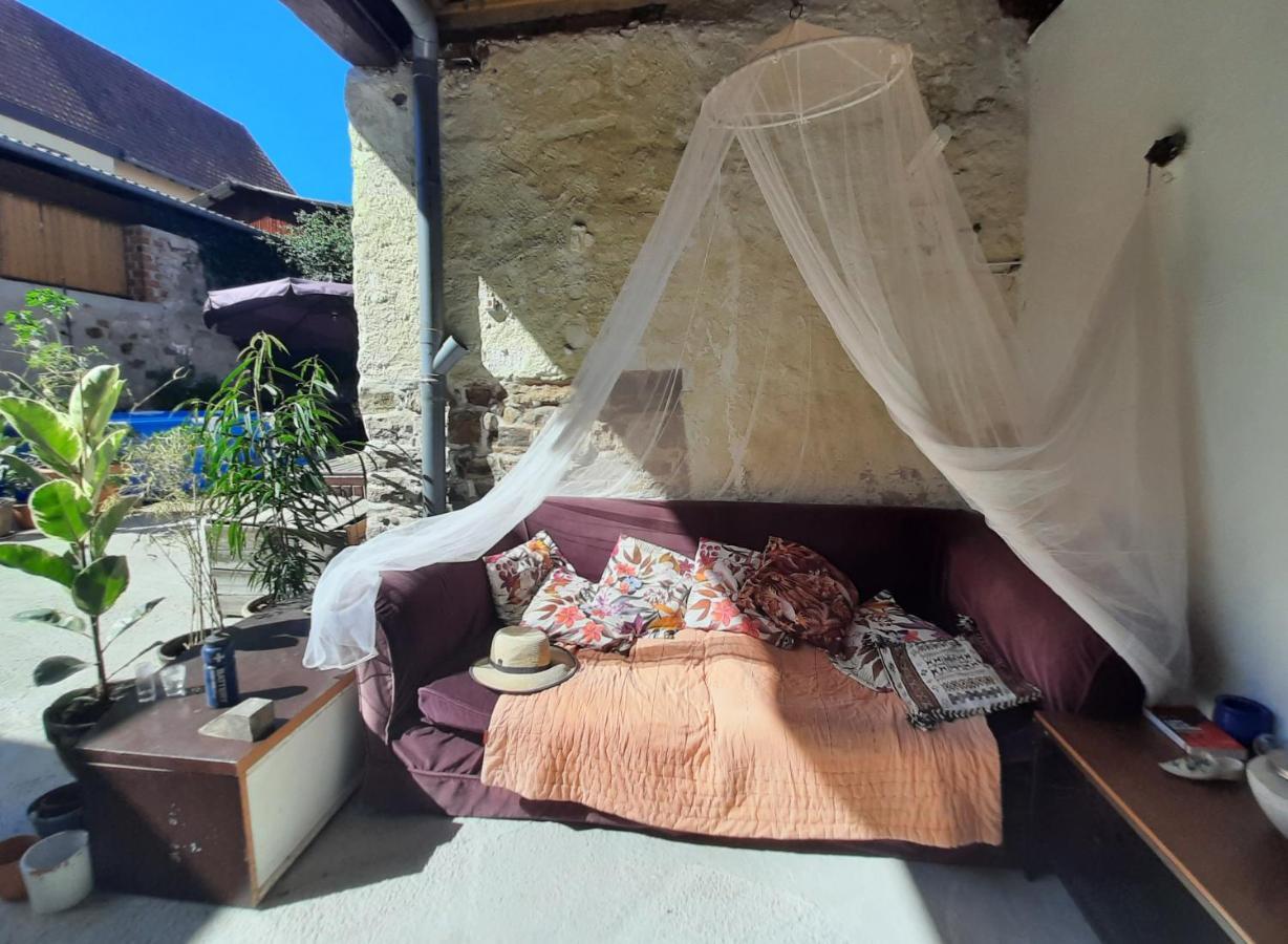 Studio Tout Confort 2 Personnes Au Coeur De L'Alsace Wolxheim Exterior photo