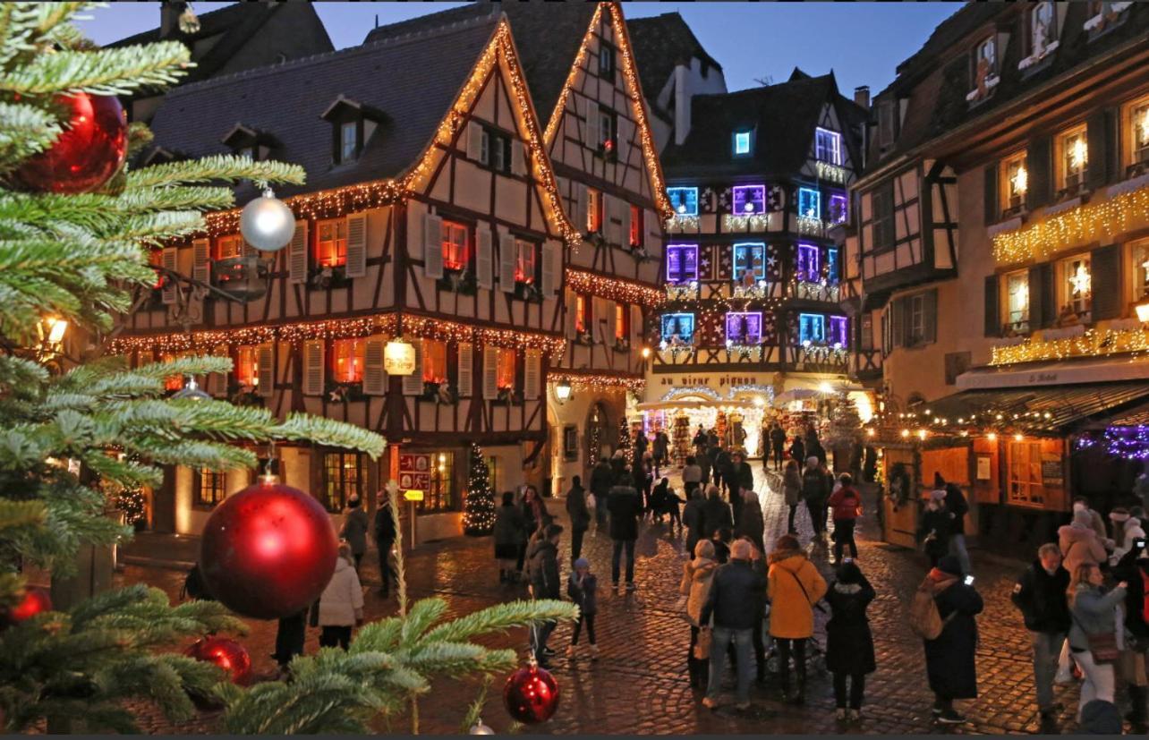 Studio Tout Confort 2 Personnes Au Coeur De L'Alsace Wolxheim Exterior photo