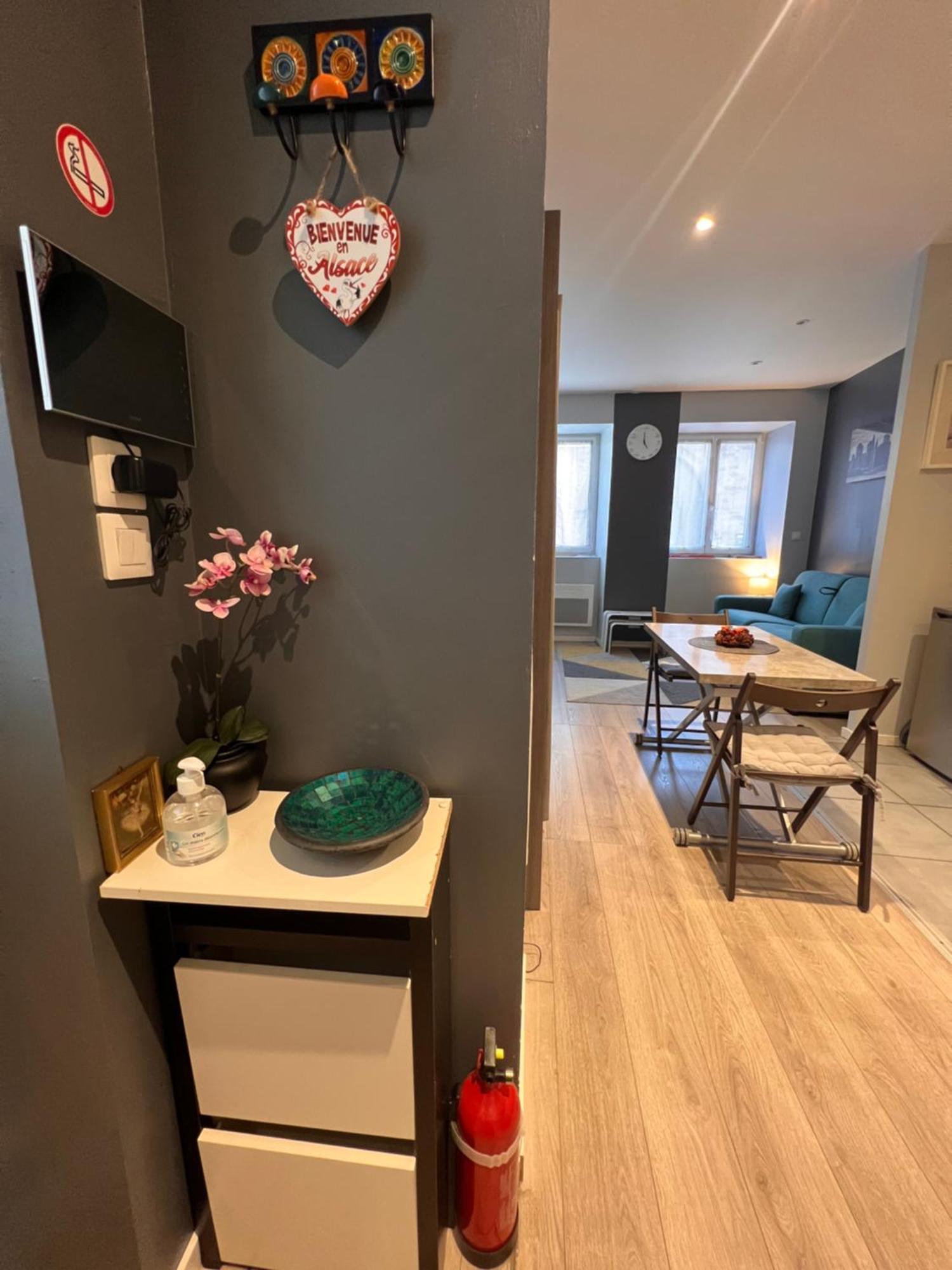 Studio Tout Confort 2 Personnes Au Coeur De L'Alsace Wolxheim Exterior photo