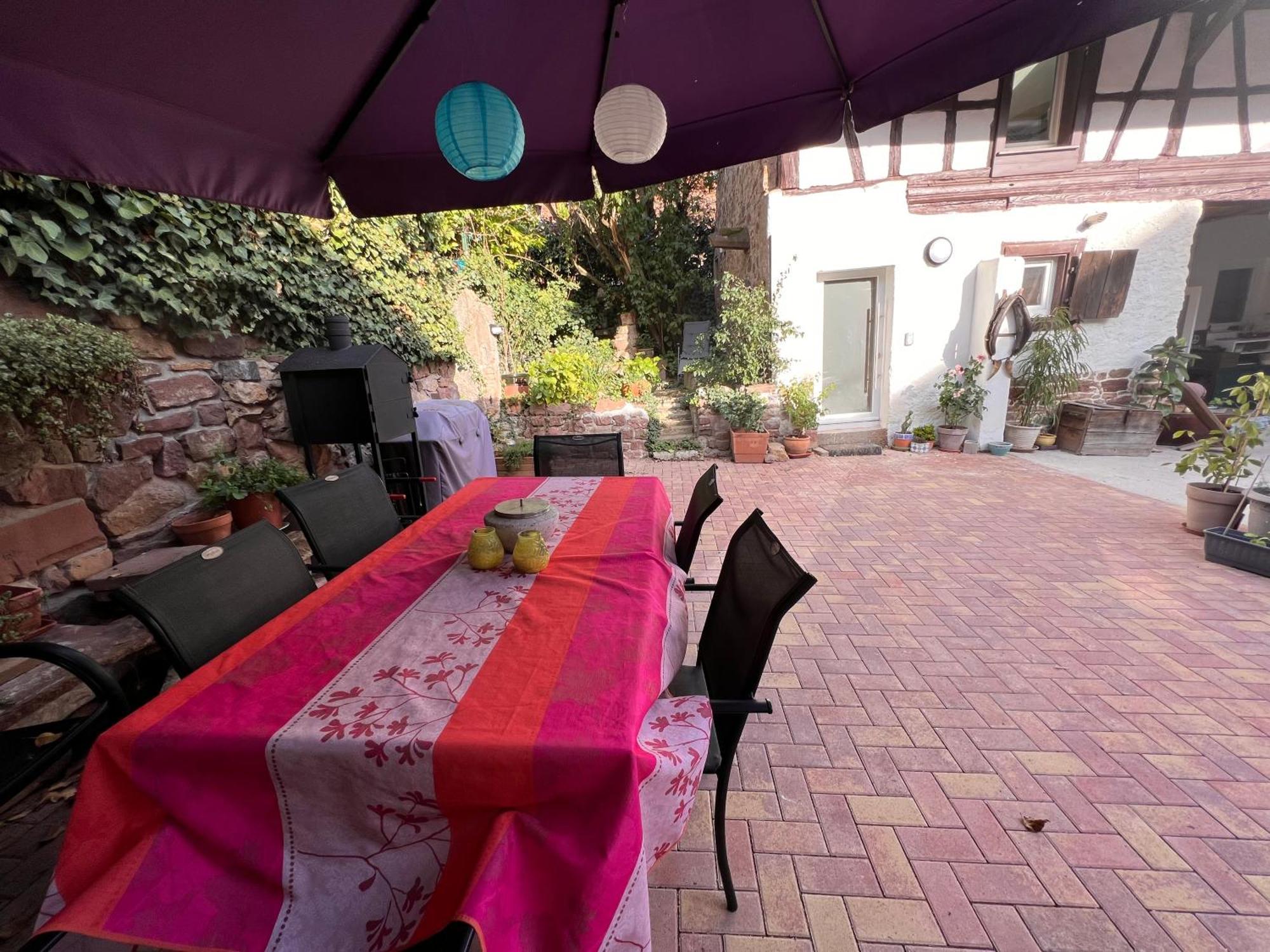 Studio Tout Confort 2 Personnes Au Coeur De L'Alsace Wolxheim Exterior photo