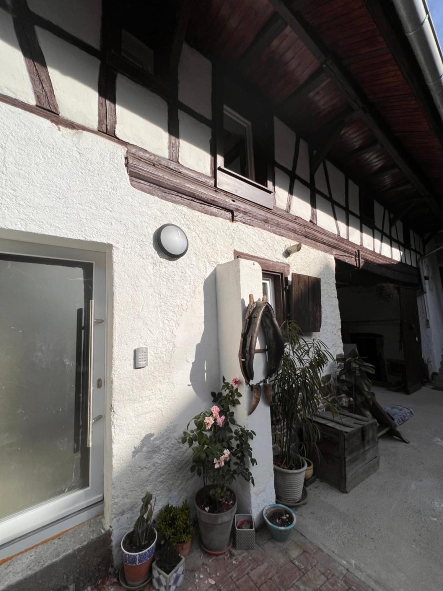 Studio Tout Confort 2 Personnes Au Coeur De L'Alsace Wolxheim Exterior photo