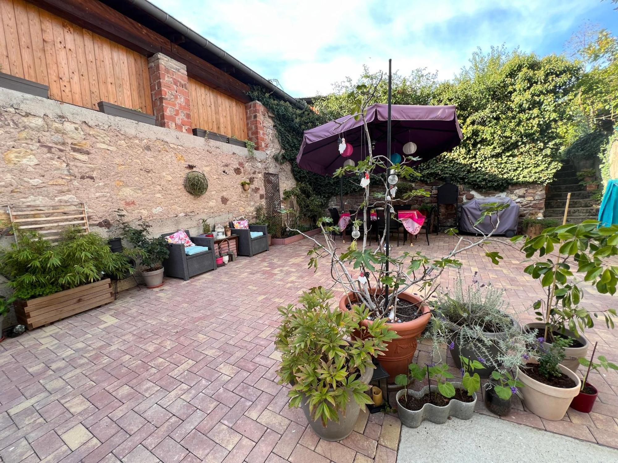 Studio Tout Confort 2 Personnes Au Coeur De L'Alsace Wolxheim Exterior photo